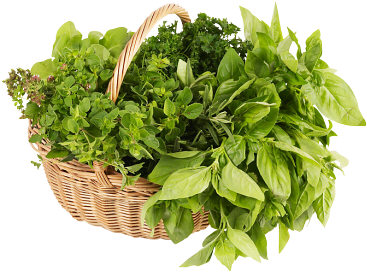 herb-basket