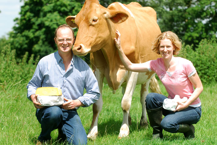 Suffolk Cheeses  couple and cow