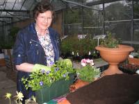 Beryl finishing her window box
