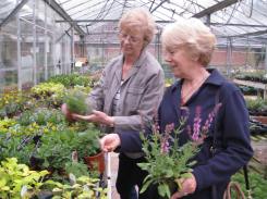 Jacky and Di choosing plants